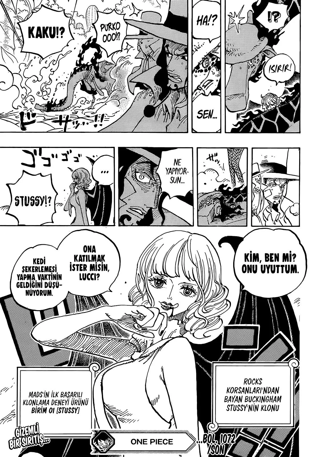 One Piece - Bölüm 1072 - Sayfa 16