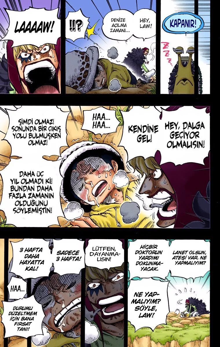 One Piece - Bölüm 765 - Sayfa 9