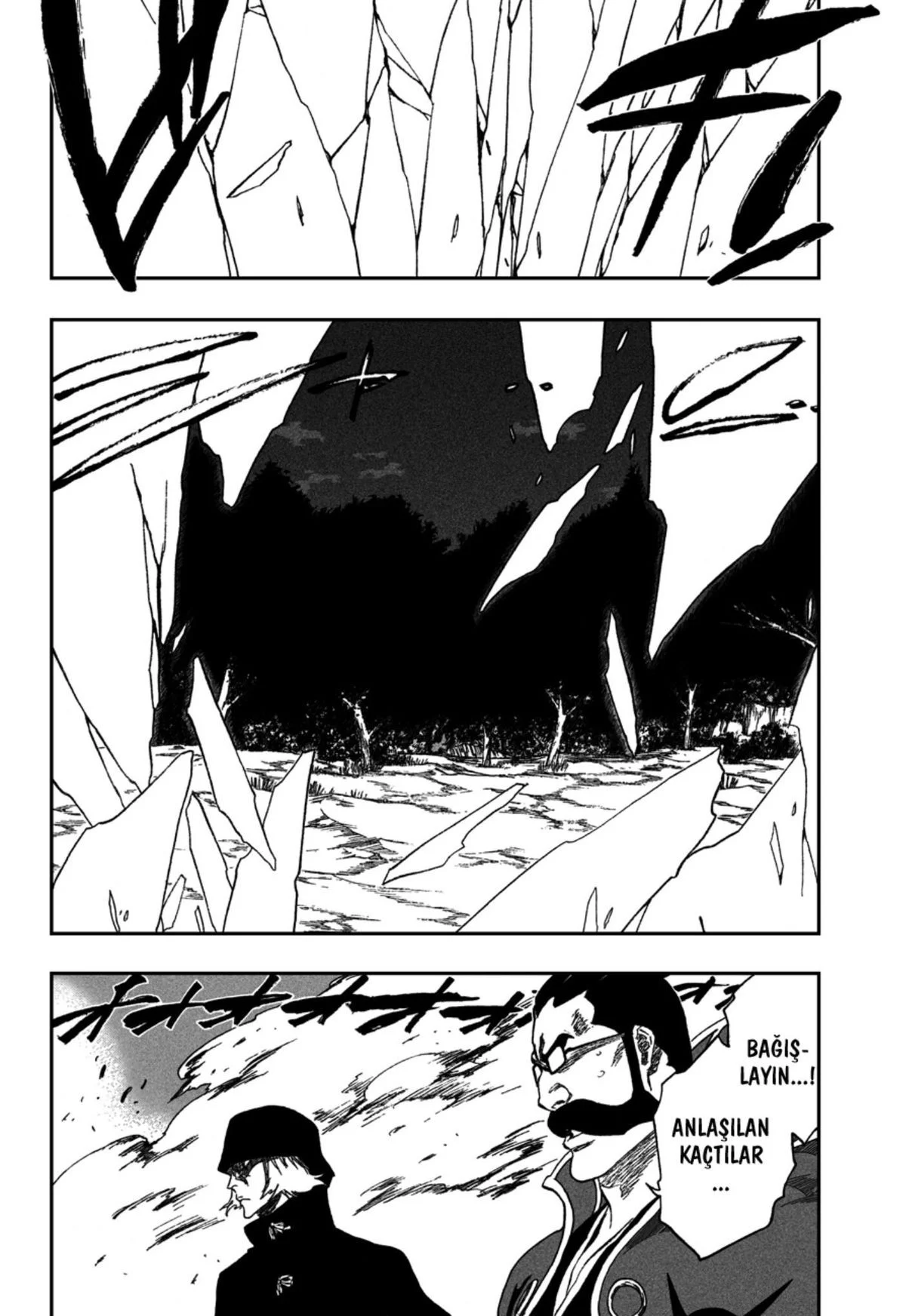 Bleach - Bölüm 315.11 - Sayfa 13
