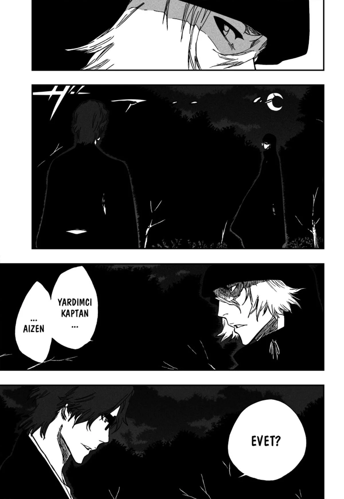 Bleach - Bölüm 315.11 - Sayfa 5
