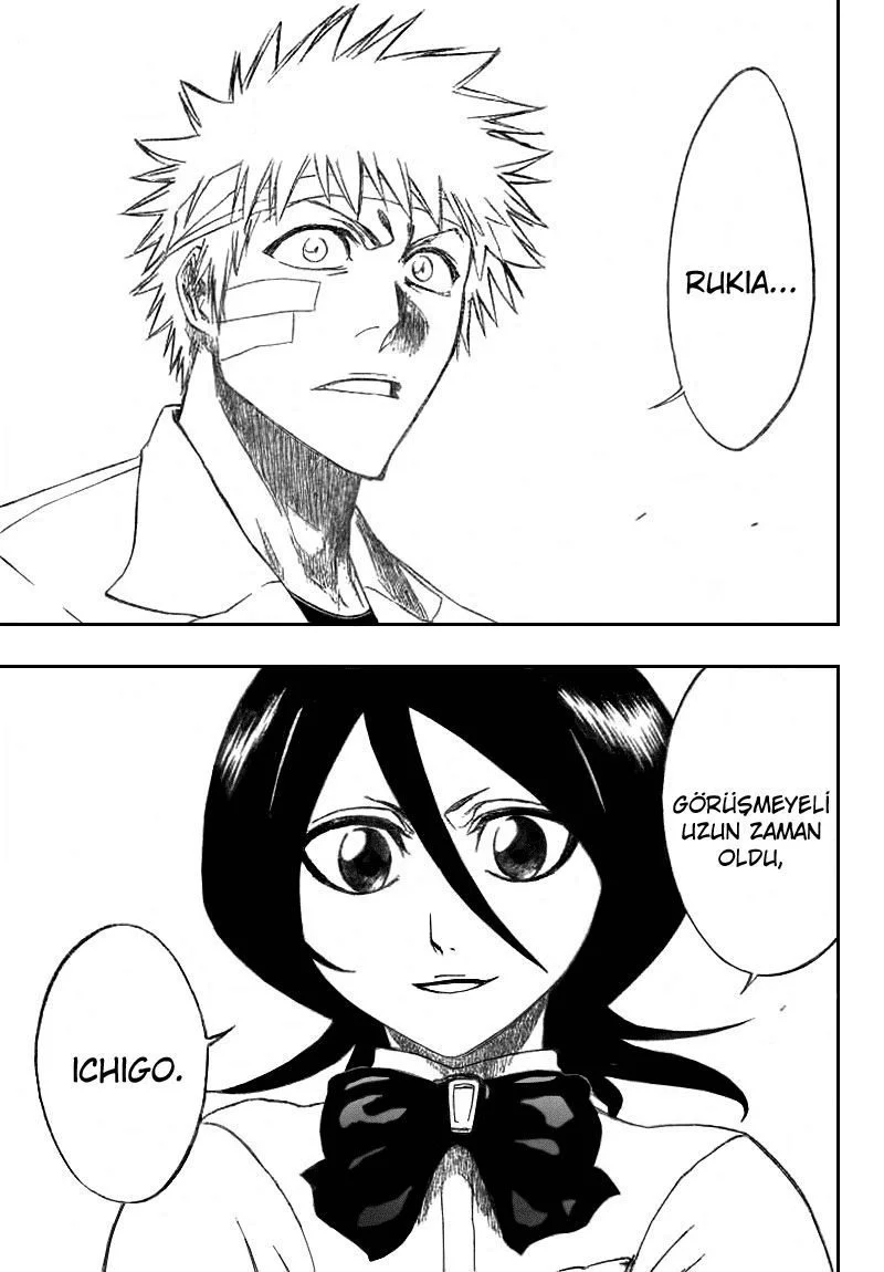 Bleach - Bölüm 195 - Sayfa 17