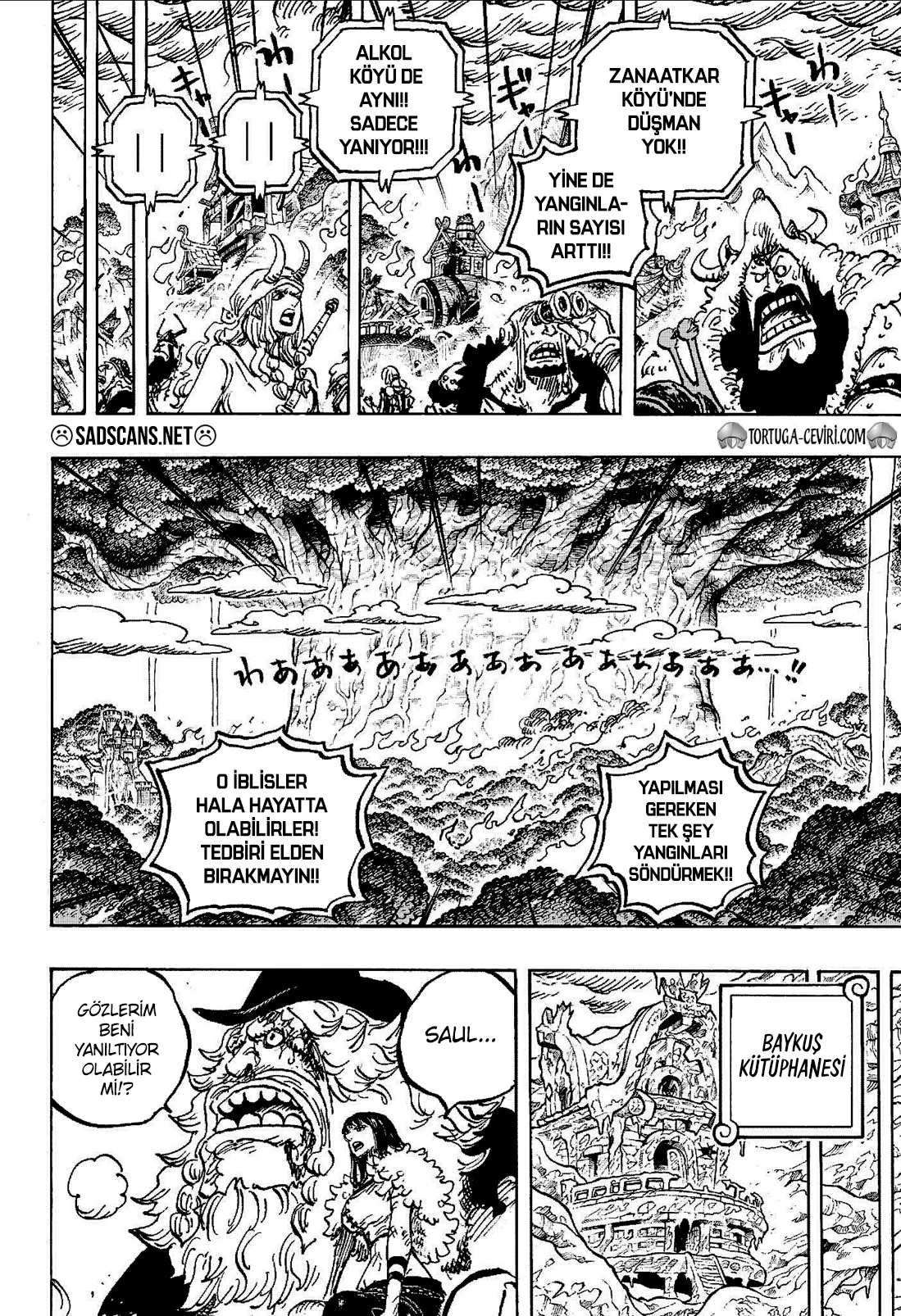 One Piece - Bölüm 1178 - Sayfa 10