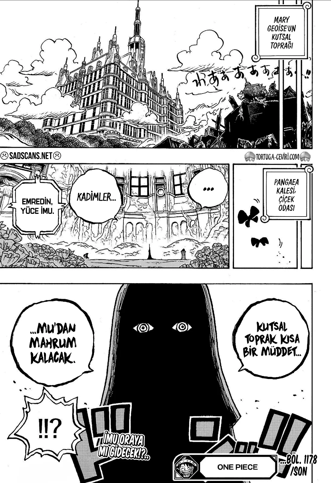 One Piece - Bölüm 1178 - Sayfa 13