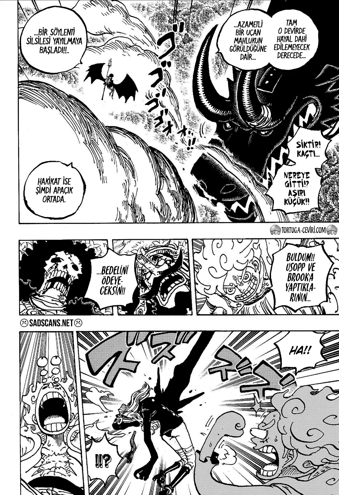 One Piece - Bölüm 1178 - Sayfa 4