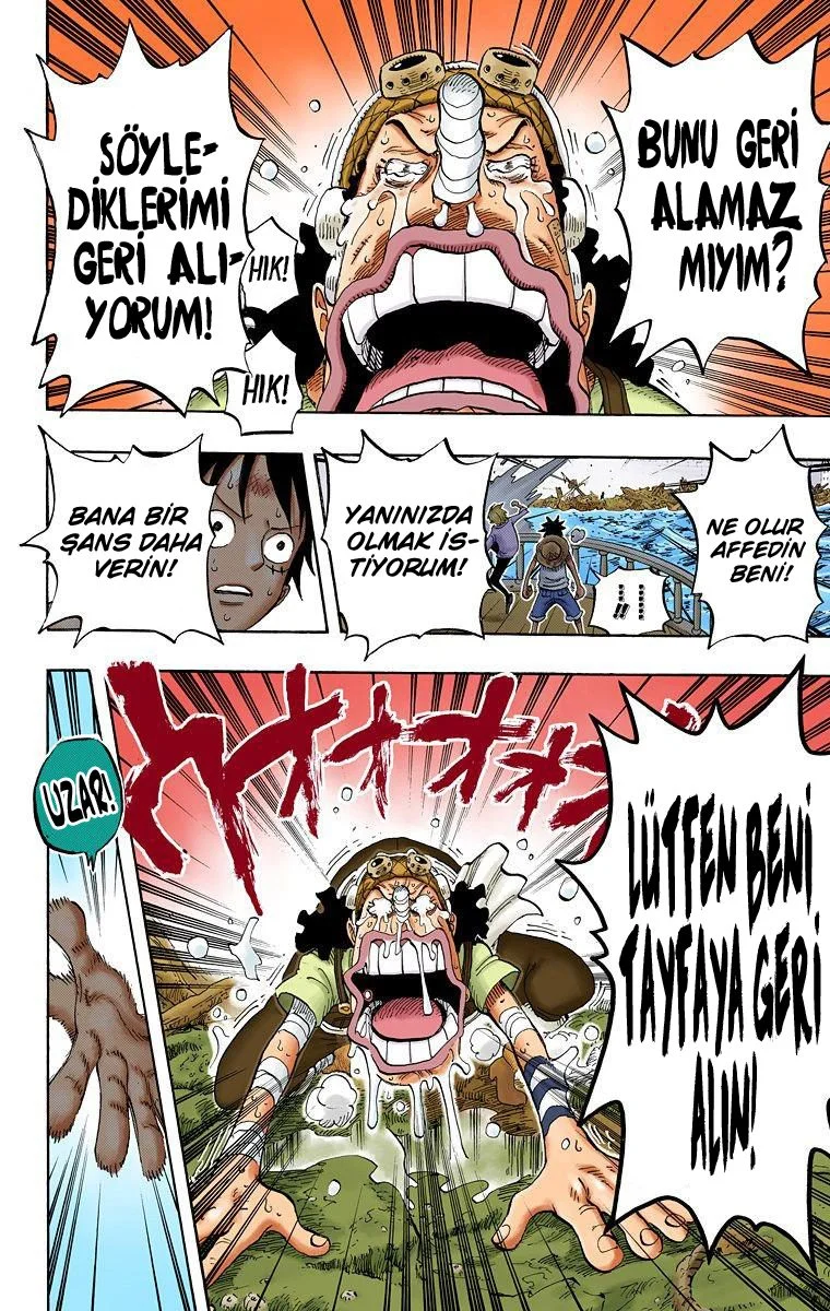 One Piece - Bölüm 438 - Sayfa 17