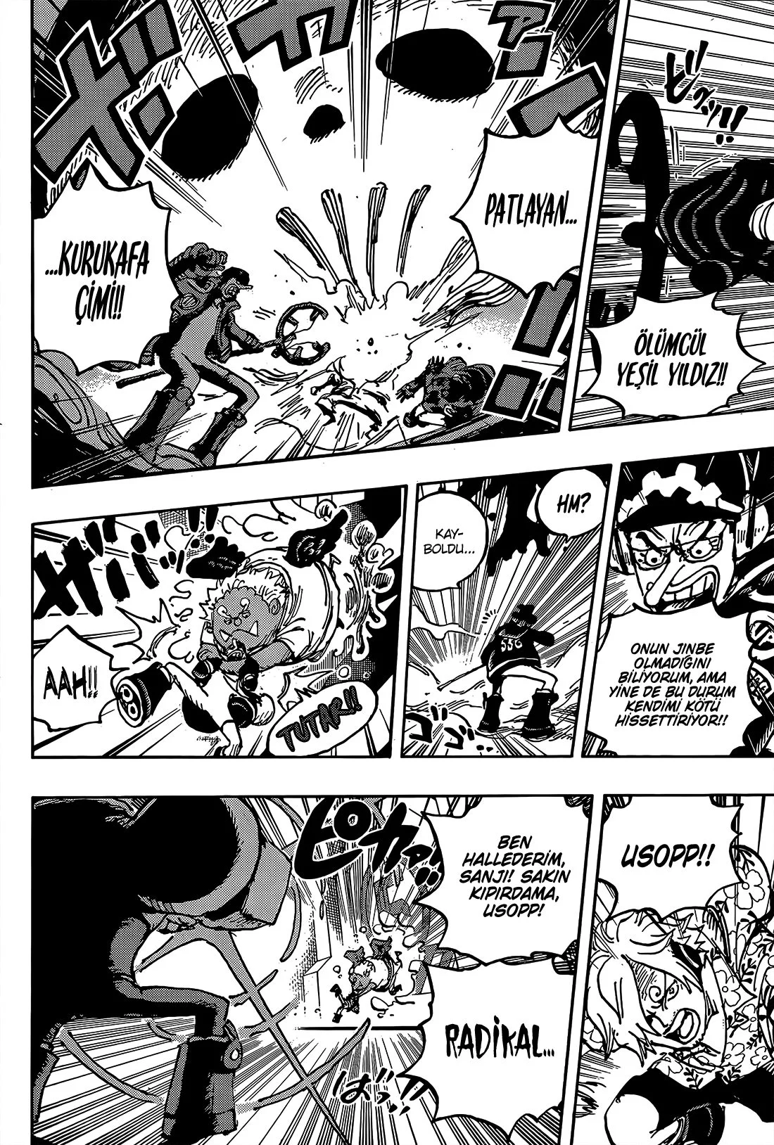 One Piece - Bölüm 1065 - Sayfa 10