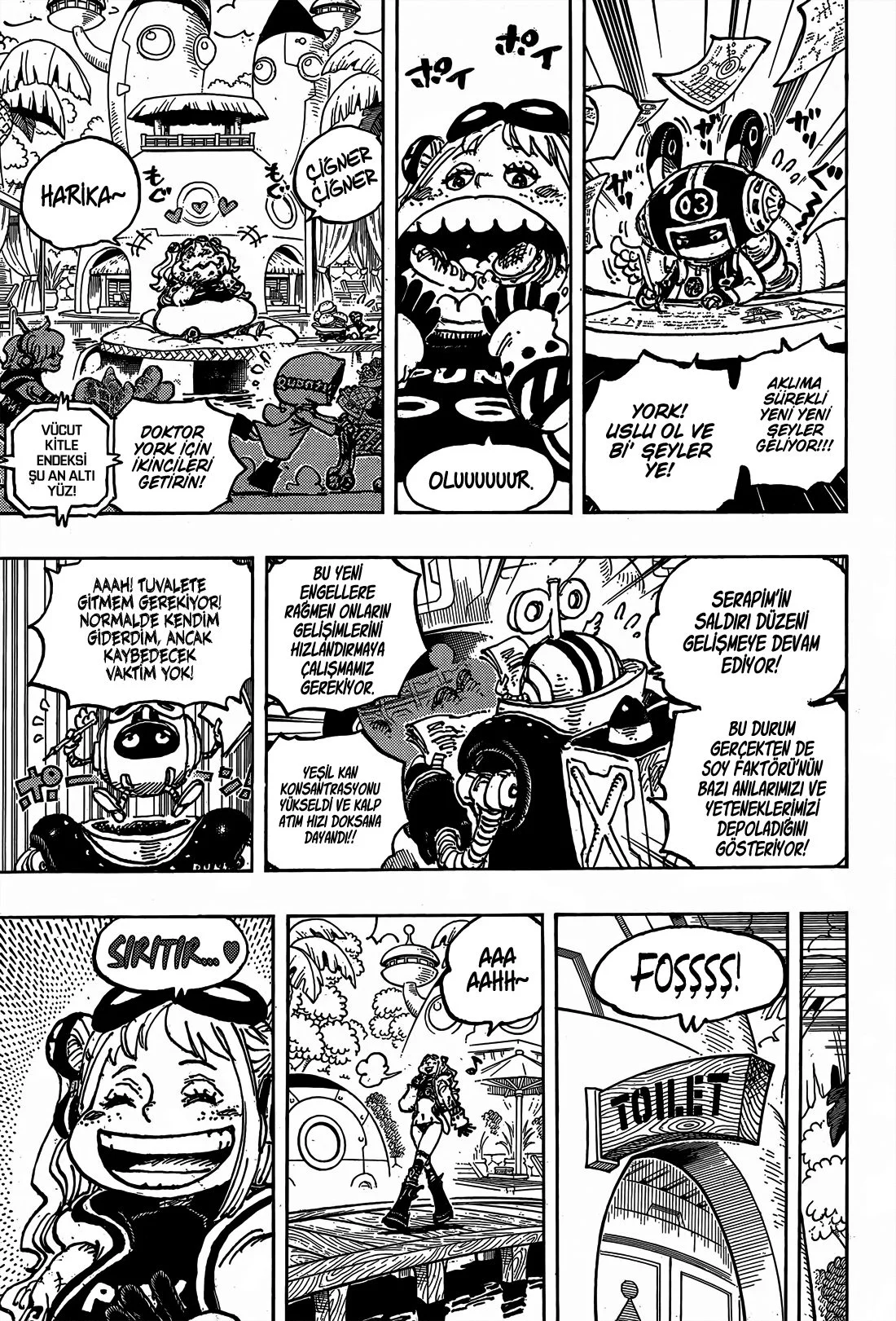 One Piece - Bölüm 1065 - Sayfa 13