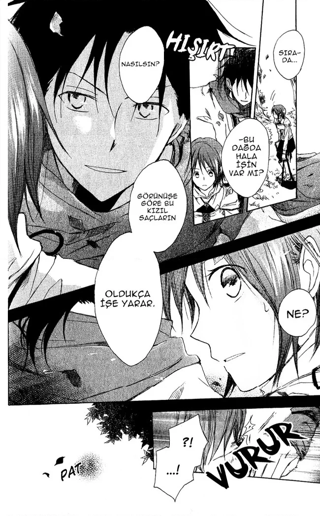 Akagami no Shirayukihime - Bölüm 2 - Sayfa 13