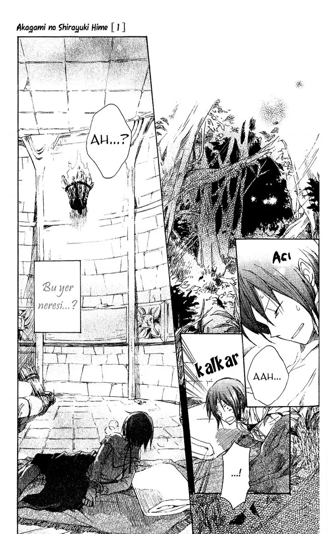 Akagami no Shirayukihime - Bölüm 2 - Sayfa 14