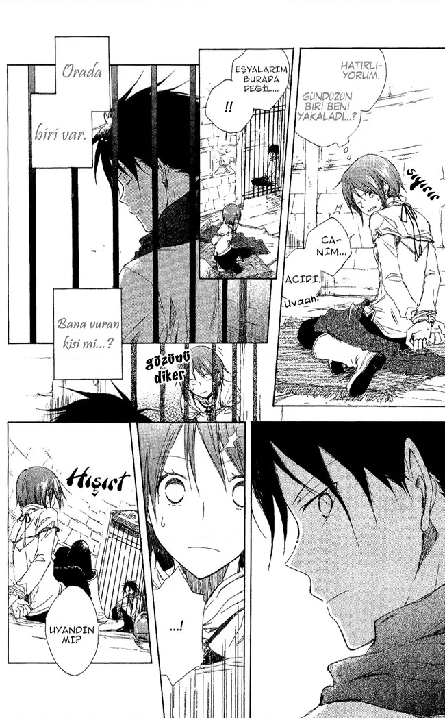 Akagami no Shirayukihime - Bölüm 2 - Sayfa 15