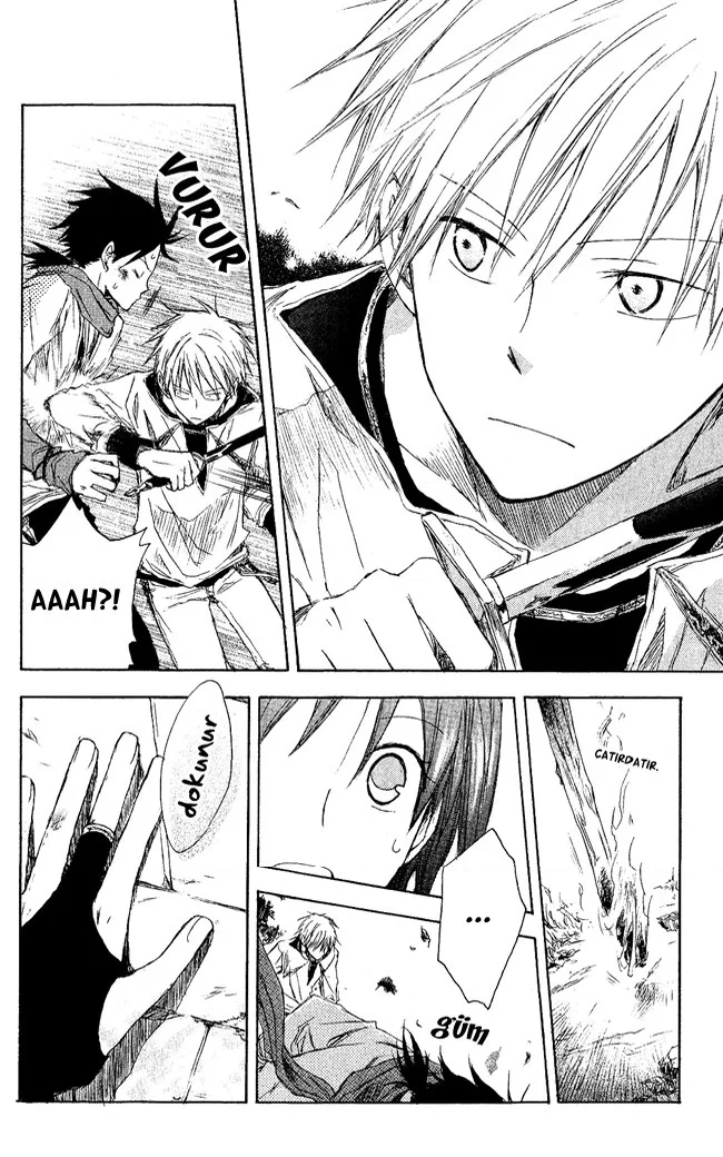 Akagami no Shirayukihime - Bölüm 2 - Sayfa 33