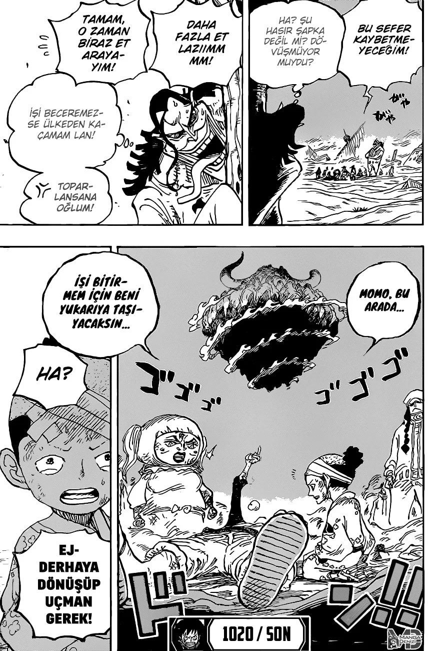 One Piece - Bölüm 1020 - Sayfa 17