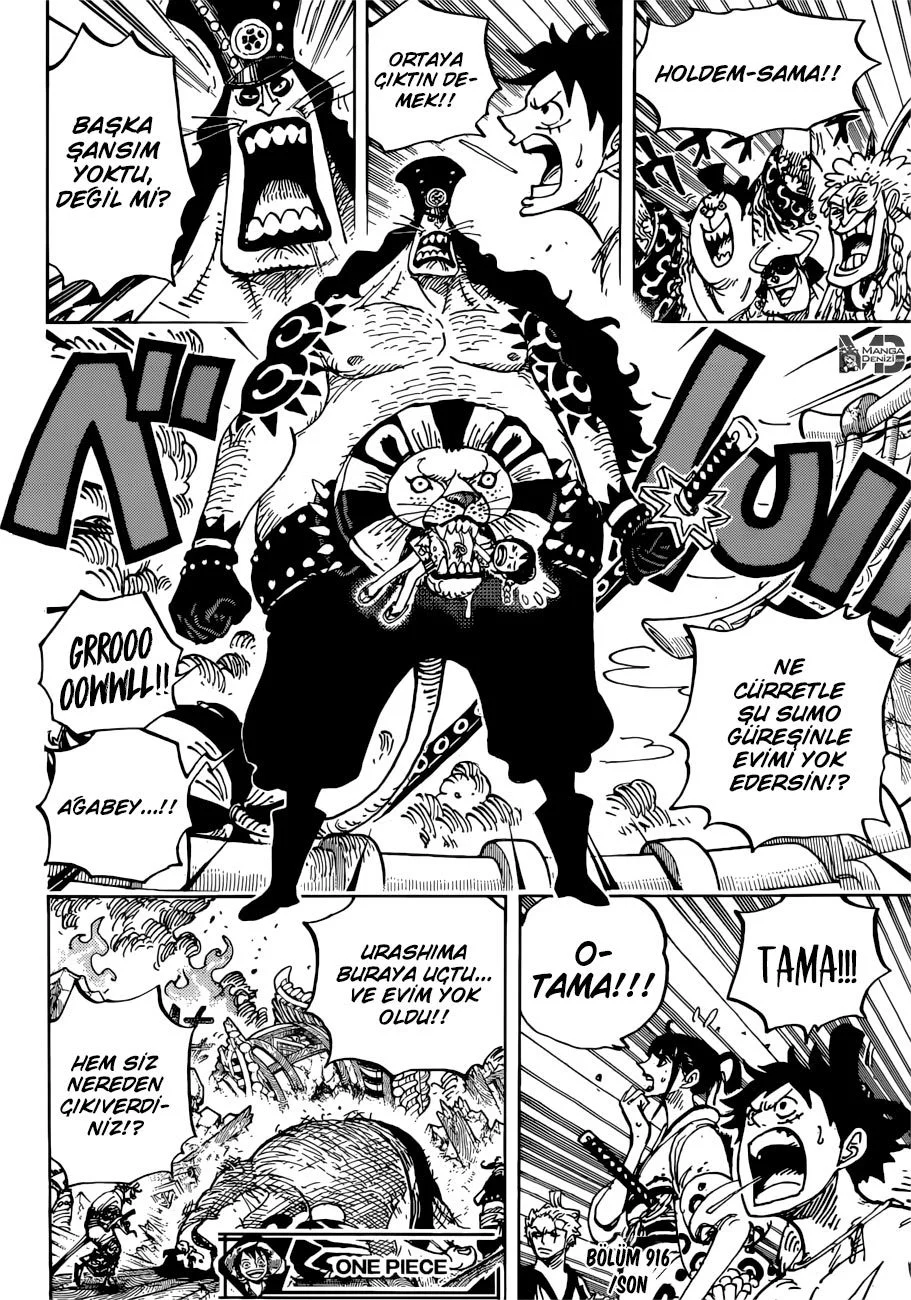 One Piece - Bölüm 916 - Sayfa 15