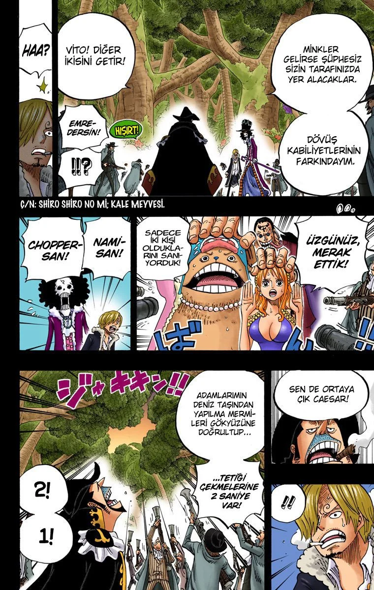 One Piece - Bölüm 812 - Sayfa 14