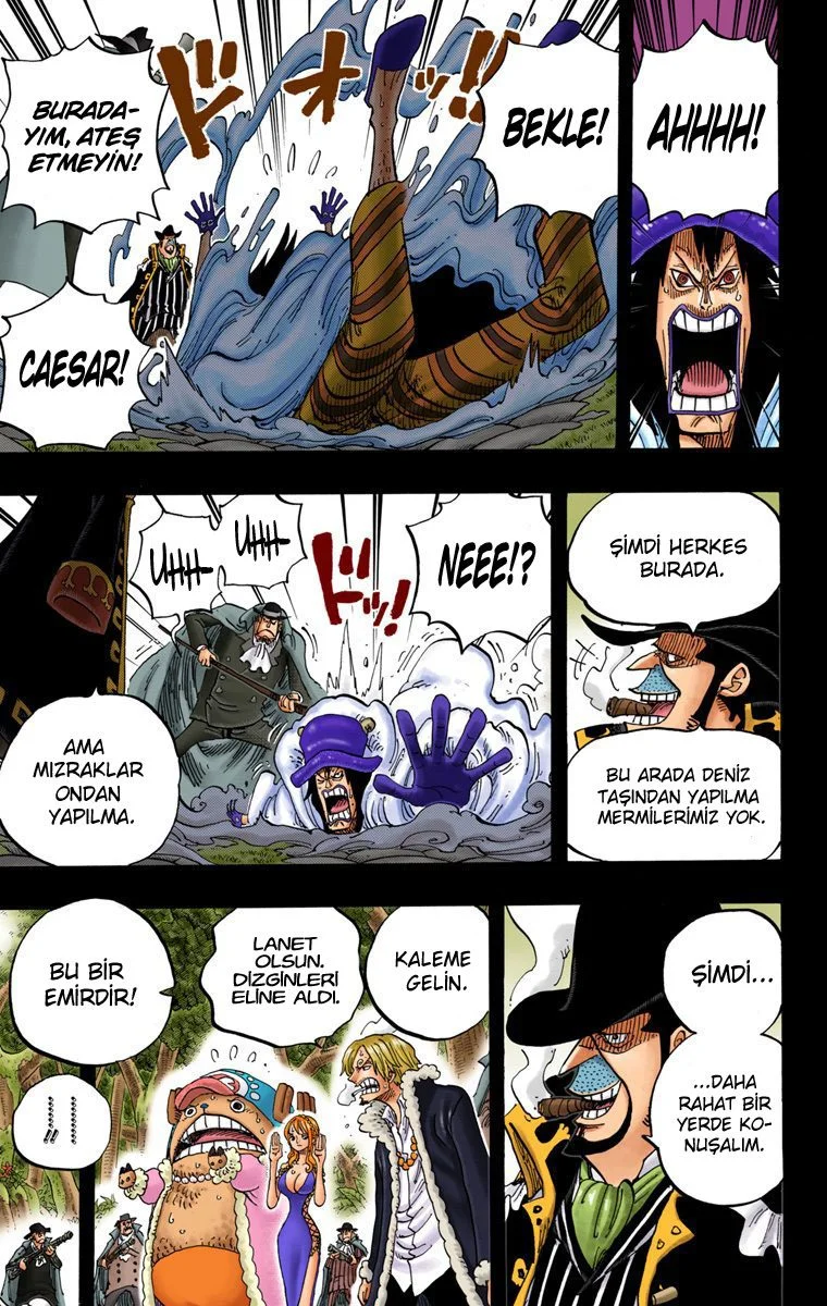 One Piece - Bölüm 812 - Sayfa 15