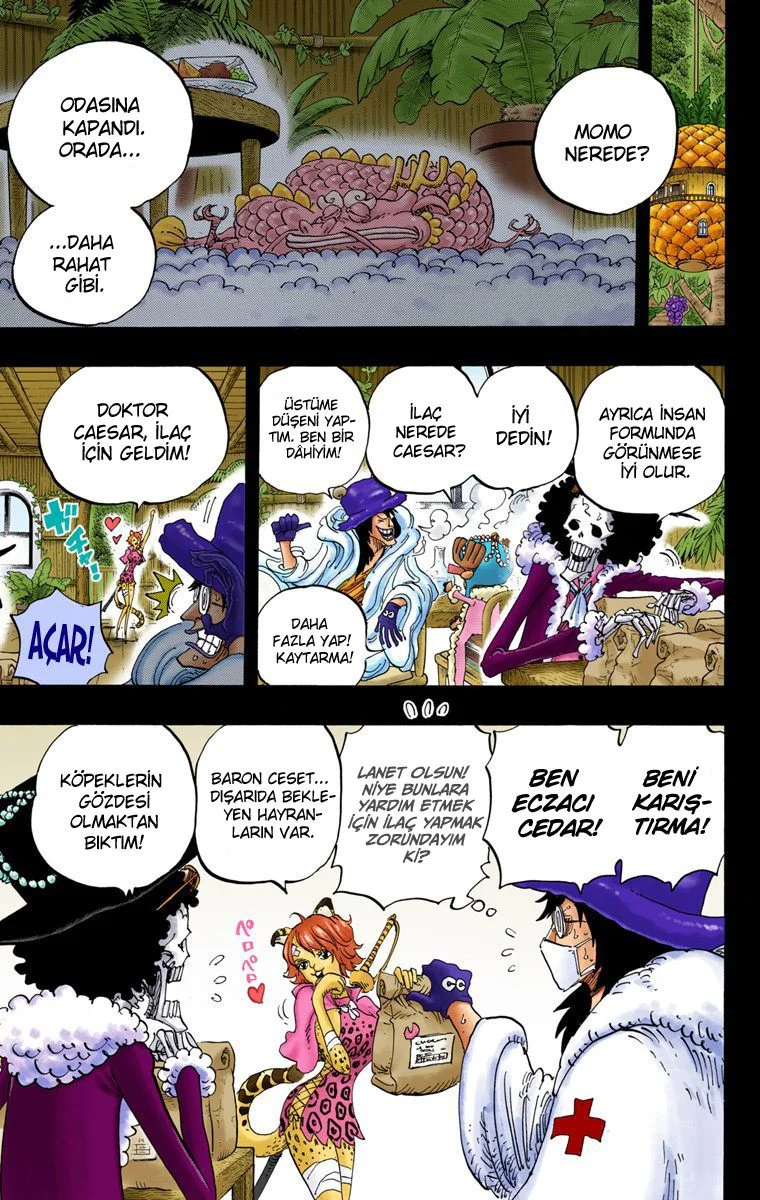 One Piece - Bölüm 812 - Sayfa 5