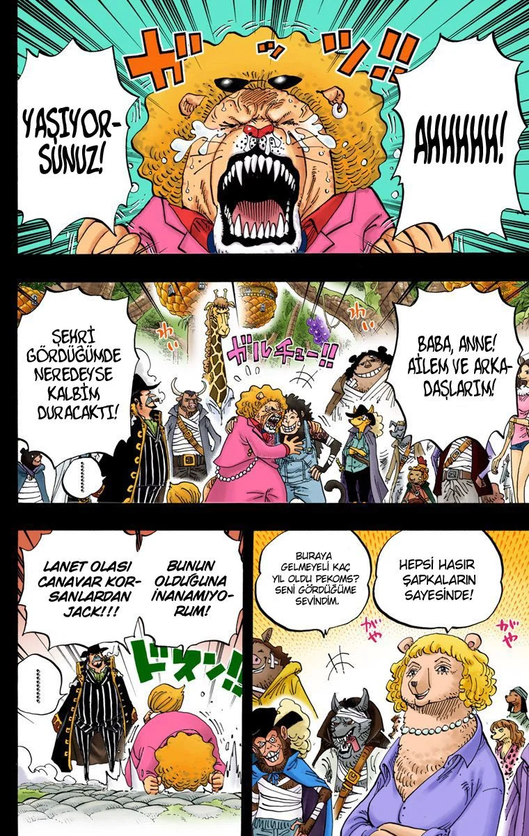 One Piece - Bölüm 812 - Sayfa 6