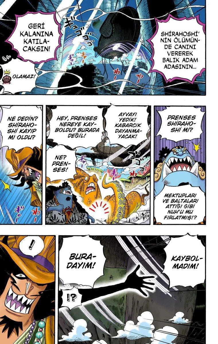One Piece - Bölüm 637 - Sayfa 13