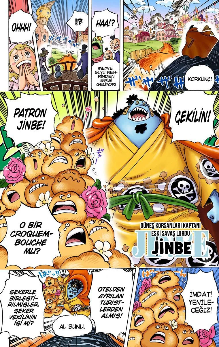 One Piece - Bölüm 829 - Sayfa 13