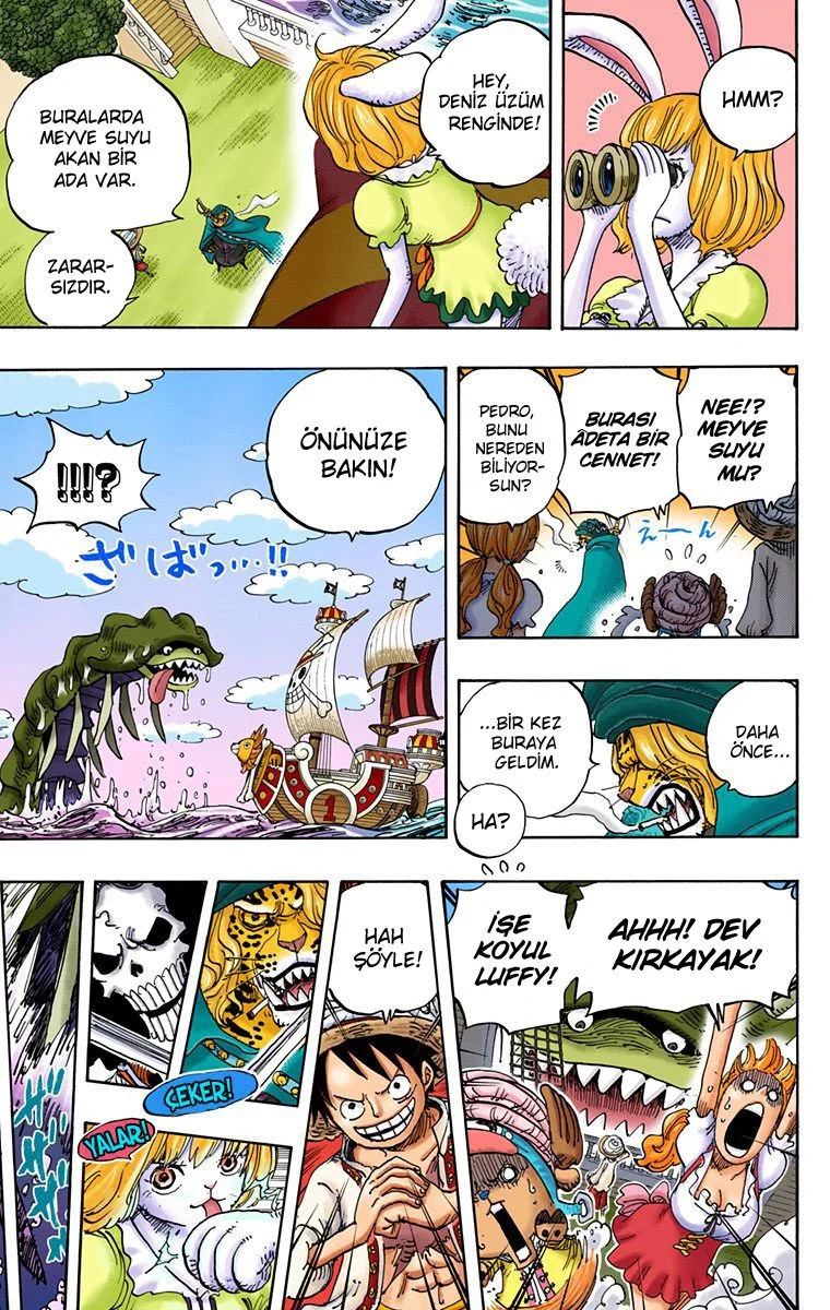 One Piece - Bölüm 829 - Sayfa 5