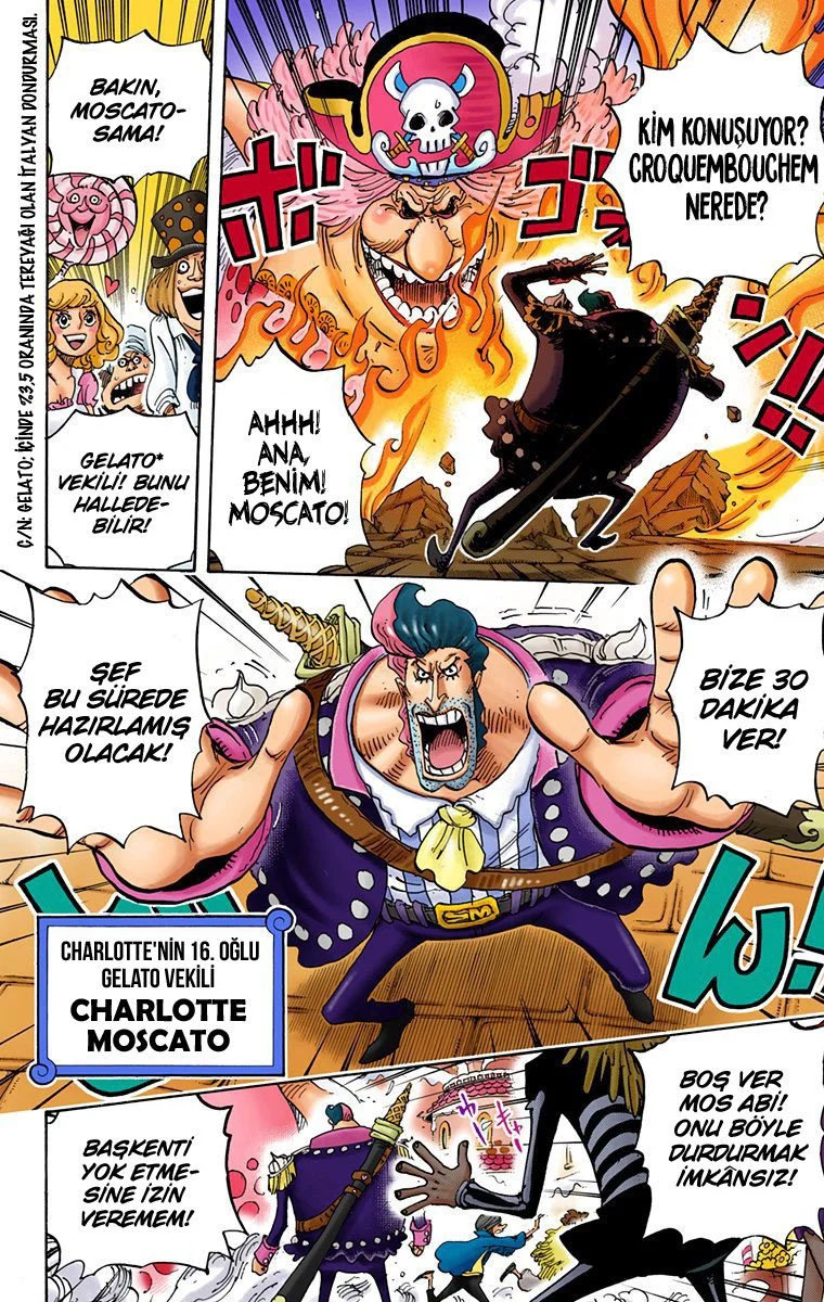 One Piece - Bölüm 829 - Sayfa 9