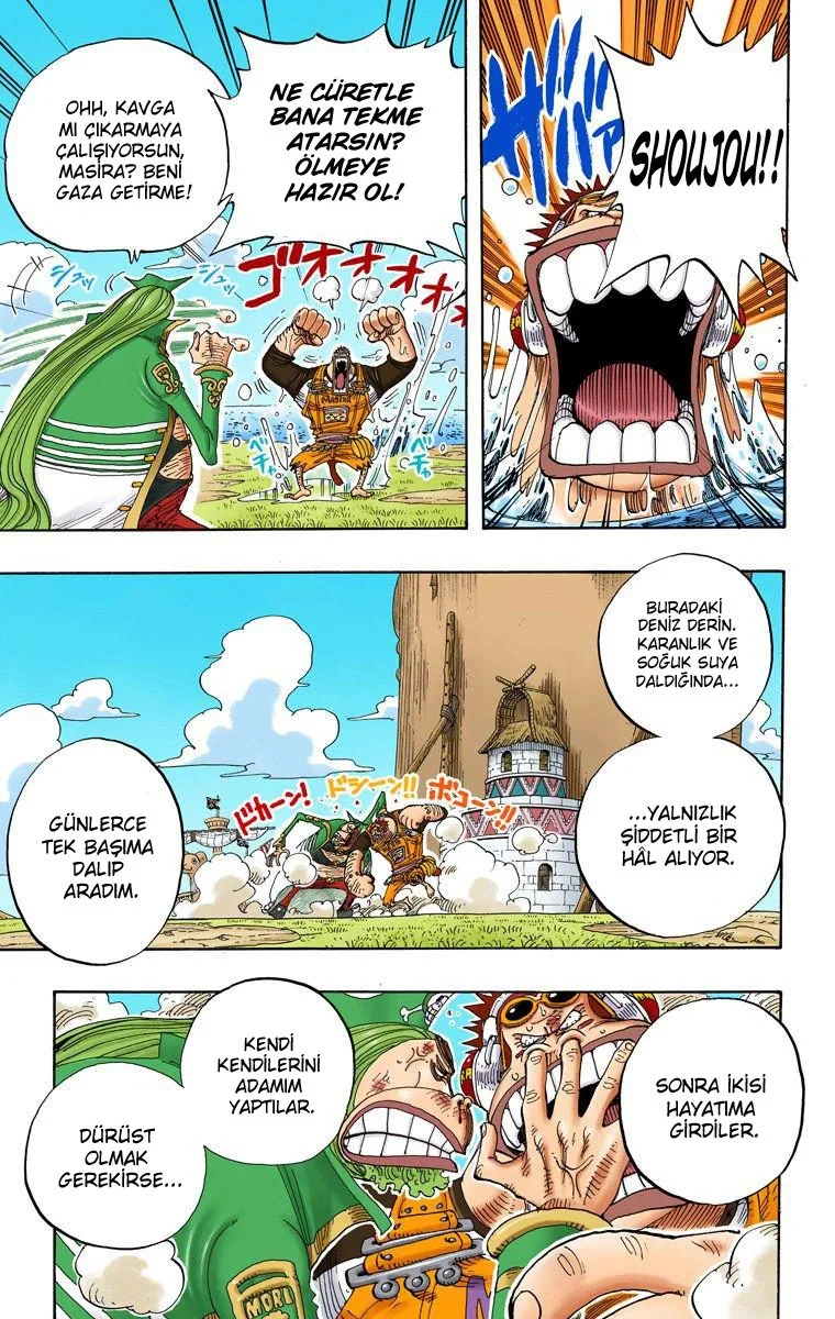 One Piece - Bölüm 228 - Sayfa 15