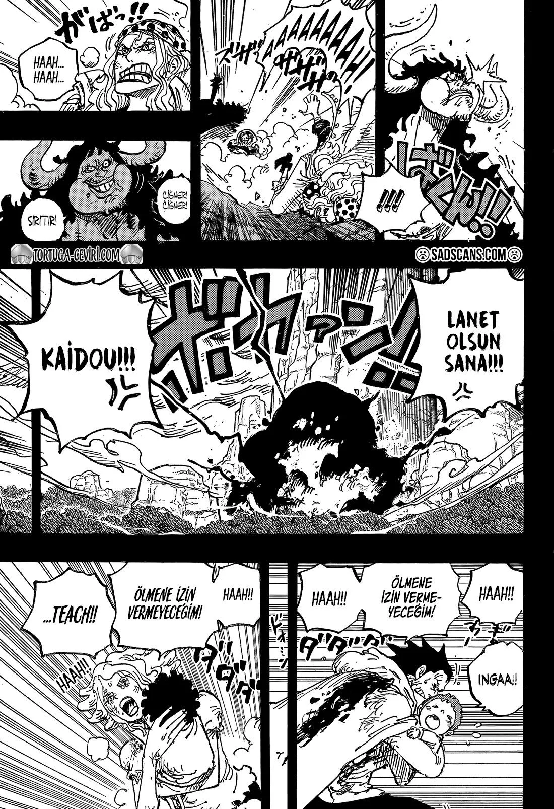 One Piece - Bölüm 1162 - Sayfa 12