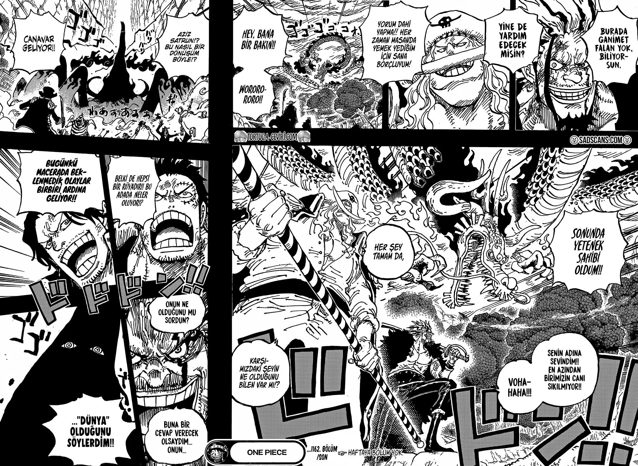 One Piece - Bölüm 1162 - Sayfa 17