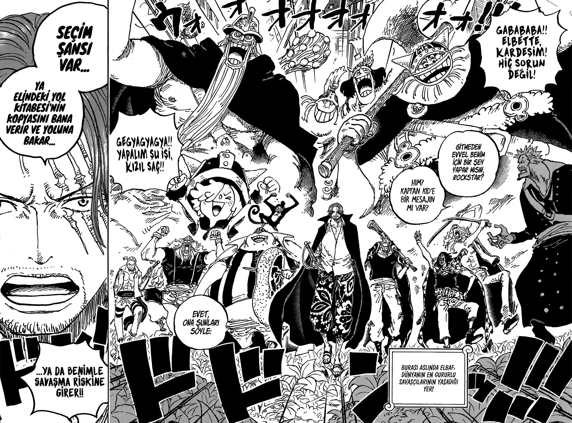 One Piece - Bölüm 1076 - Sayfa 13