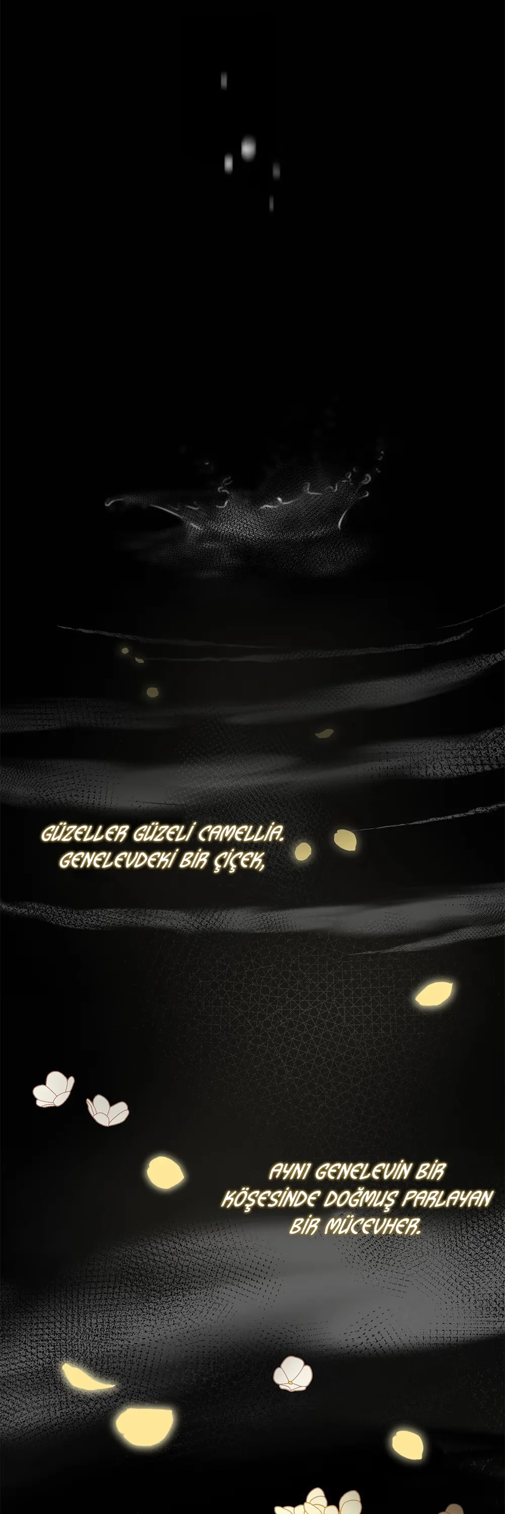 Finding Camellia - Bölüm 0 - Sayfa 11