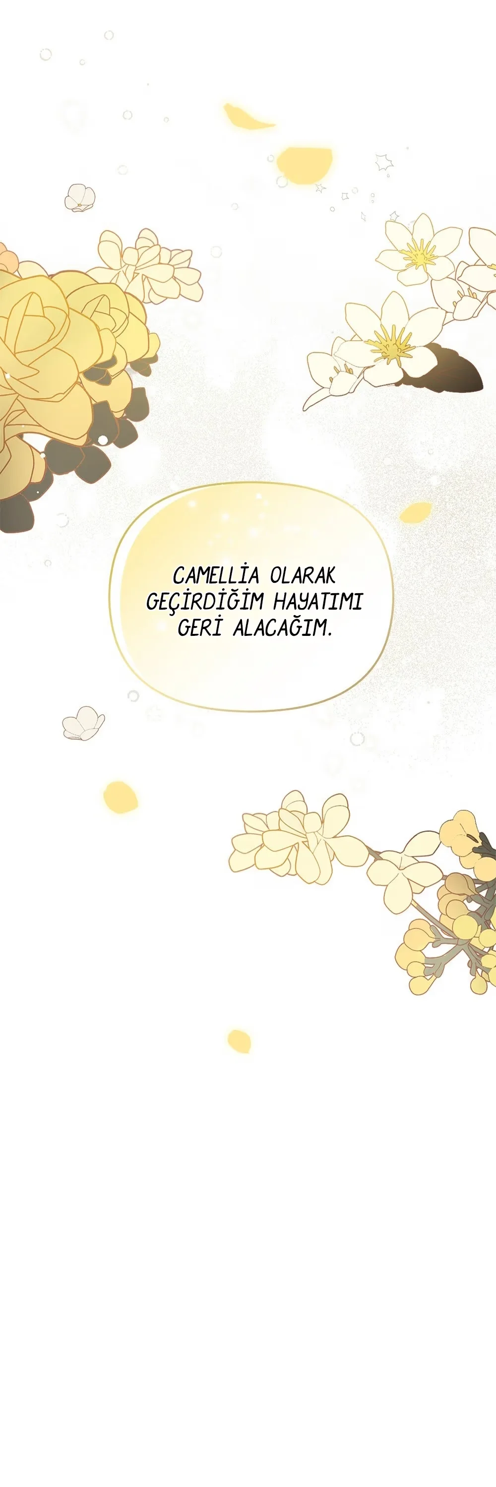 Finding Camellia - Bölüm 0 - Sayfa 30