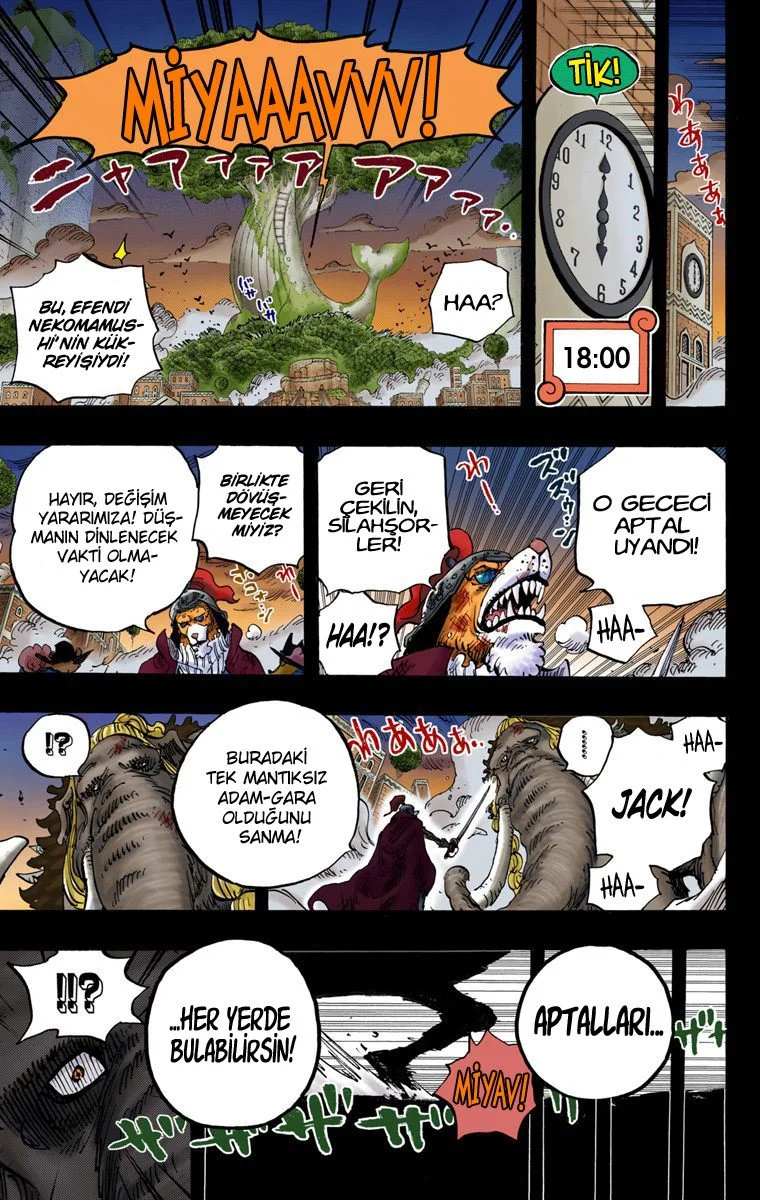 One Piece - Bölüm 809 - Sayfa 13