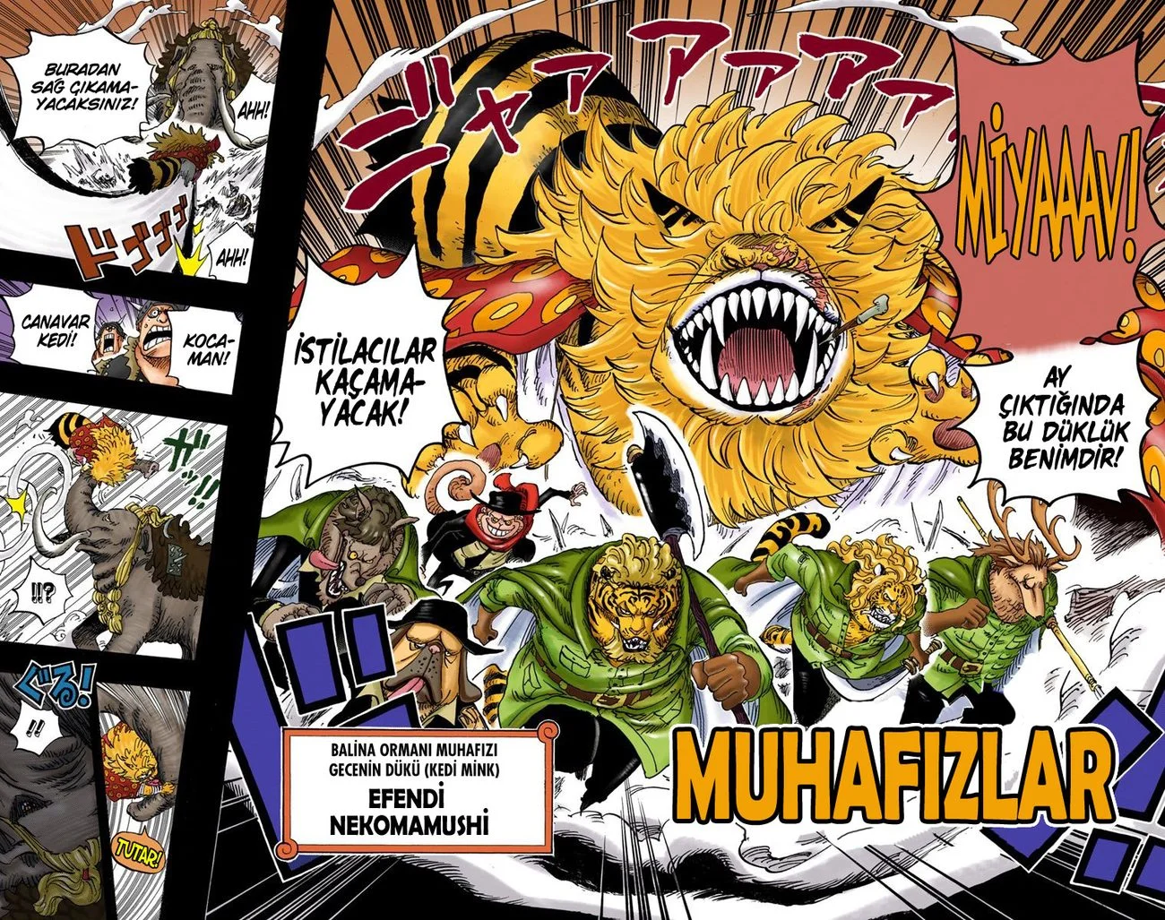 One Piece - Bölüm 809 - Sayfa 14