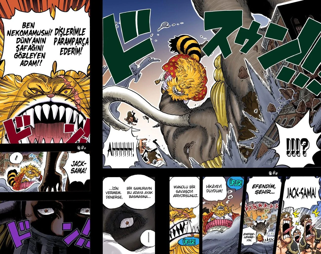 One Piece - Bölüm 809 - Sayfa 15