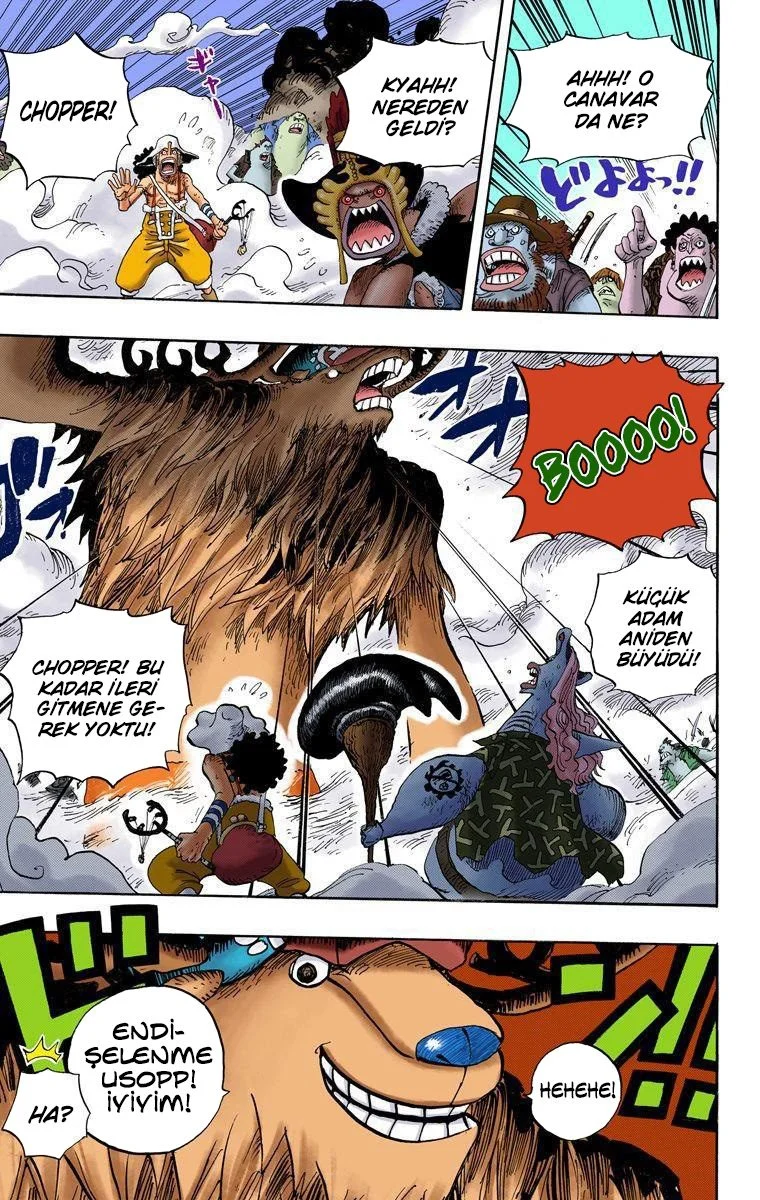 One Piece - Bölüm 645 - Sayfa 17