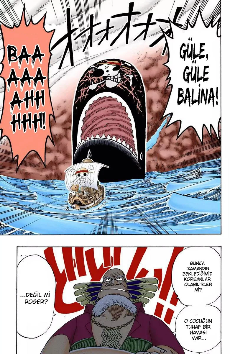 One Piece - Bölüm 105 - Sayfa 19