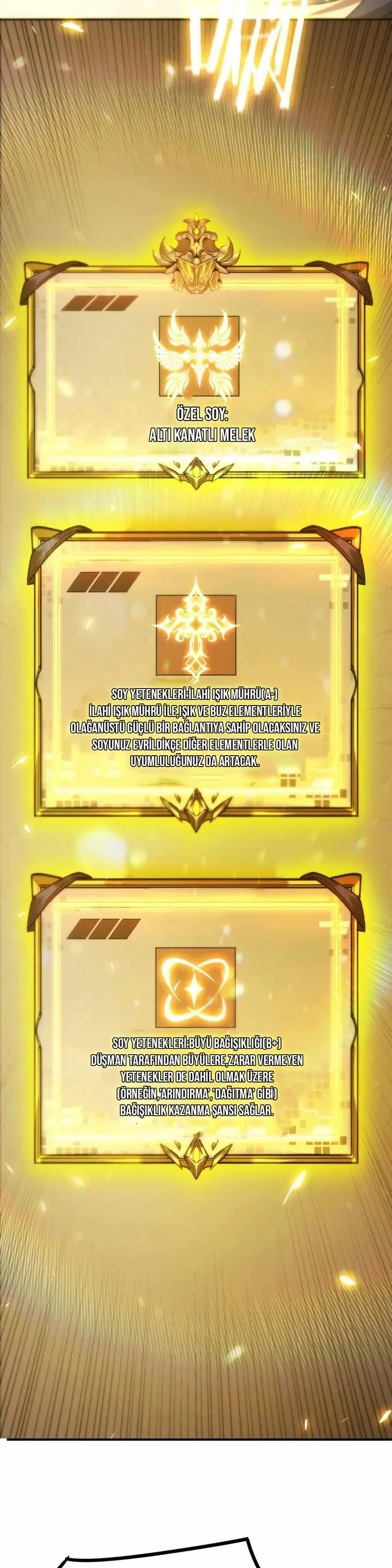 SSS-Rank Paladin Who Transcends Common Sense - Bölüm 24 - Sayfa 17