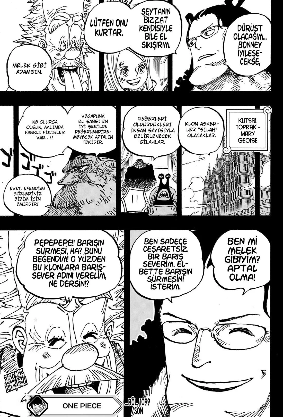 One Piece - Bölüm 1099 - Sayfa 17