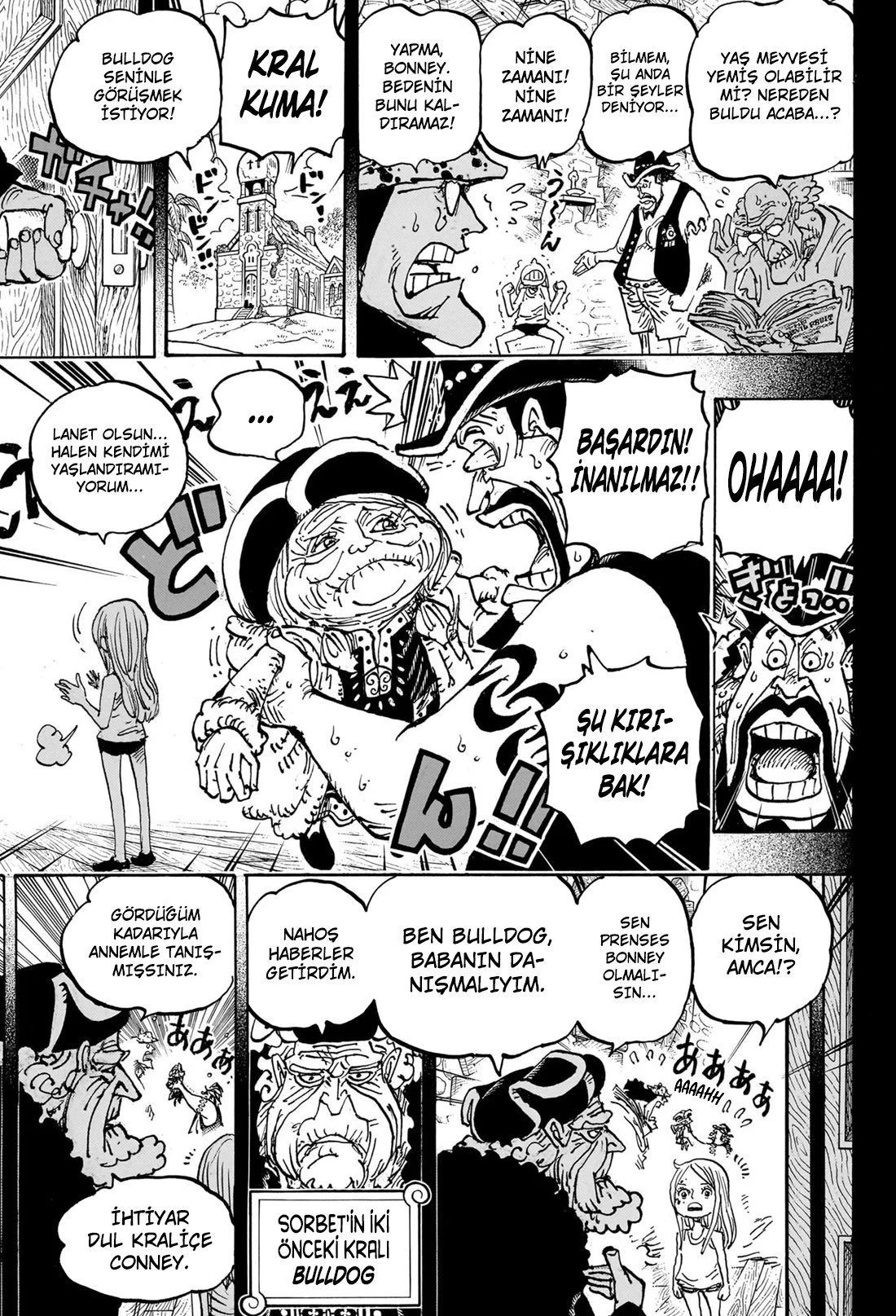 One Piece - Bölüm 1099 - Sayfa 7