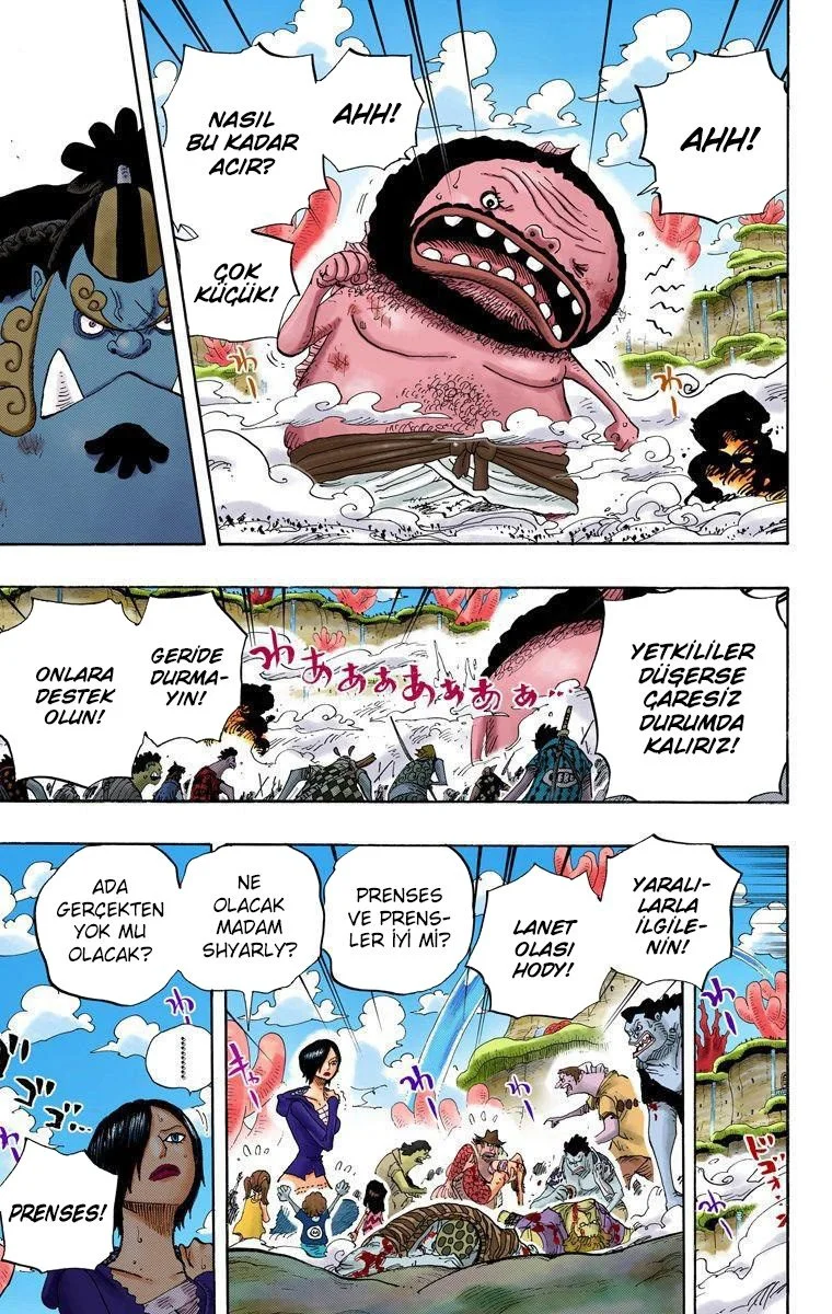 One Piece - Bölüm 640 - Sayfa 12