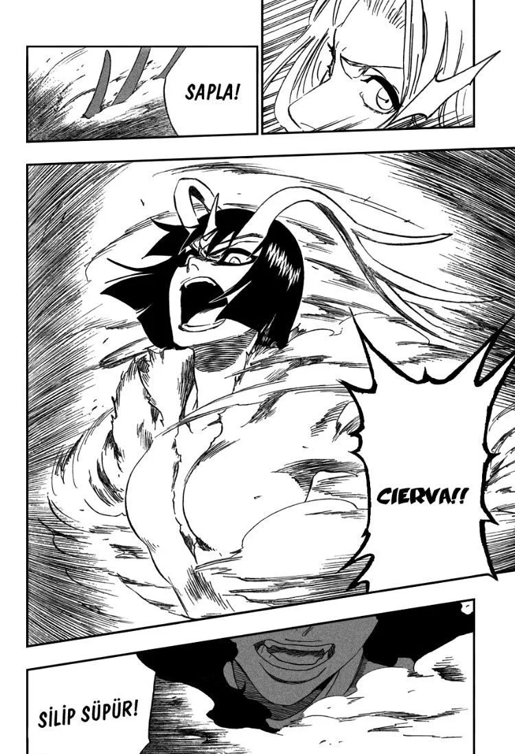 Bleach - Bölüm 335 - Sayfa 16