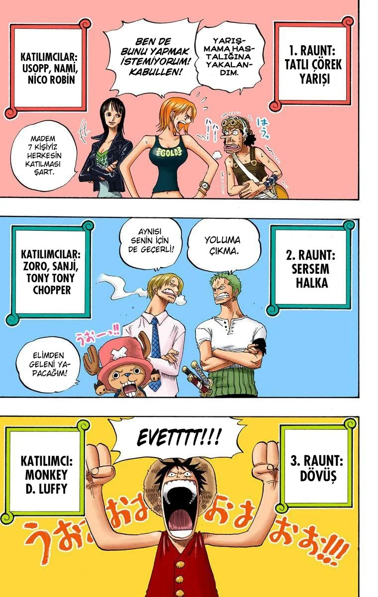 One Piece - Bölüm 306 - Sayfa 17