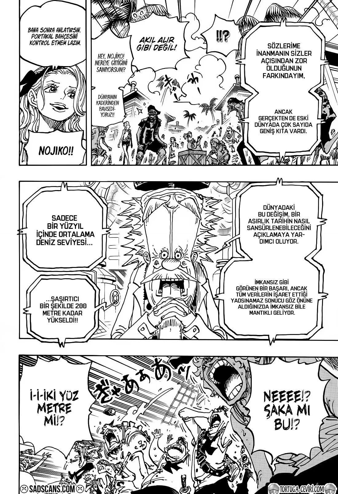 One Piece - Bölüm 1115 - Sayfa 13