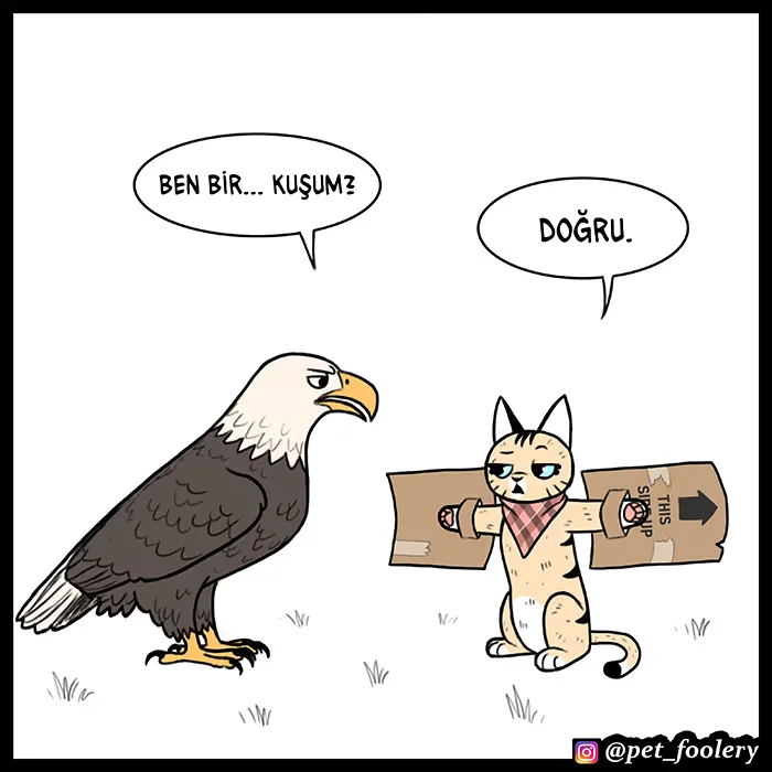 Pixie and Brutus - Bölüm 61 - Sayfa 4