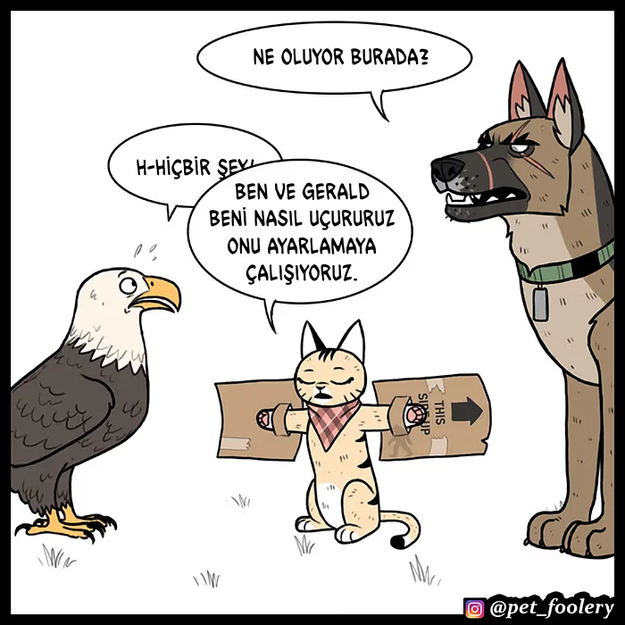 Pixie and Brutus - Bölüm 61 - Sayfa 5