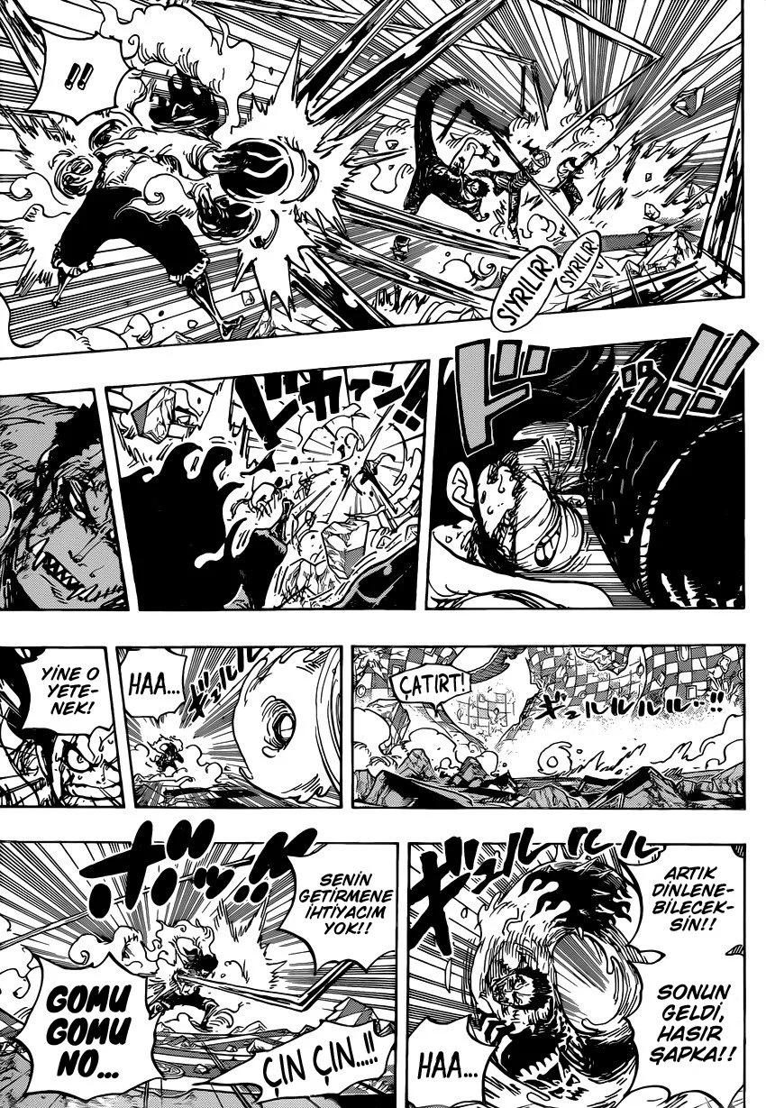 One Piece - Bölüm 895 - Sayfa 14