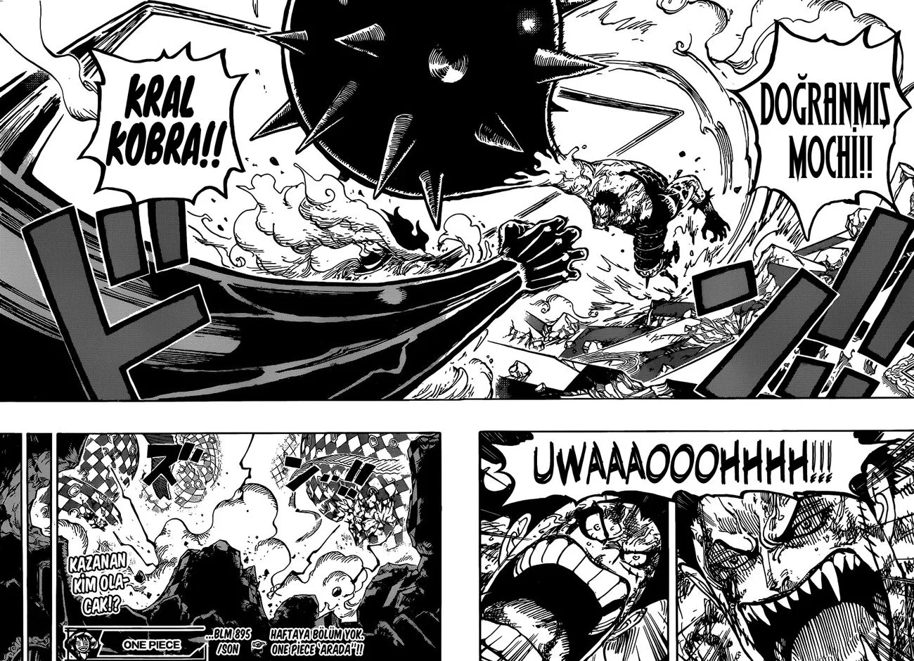 One Piece - Bölüm 895 - Sayfa 15