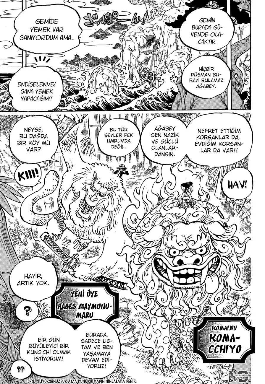 One Piece - Bölüm 911 - Sayfa 11