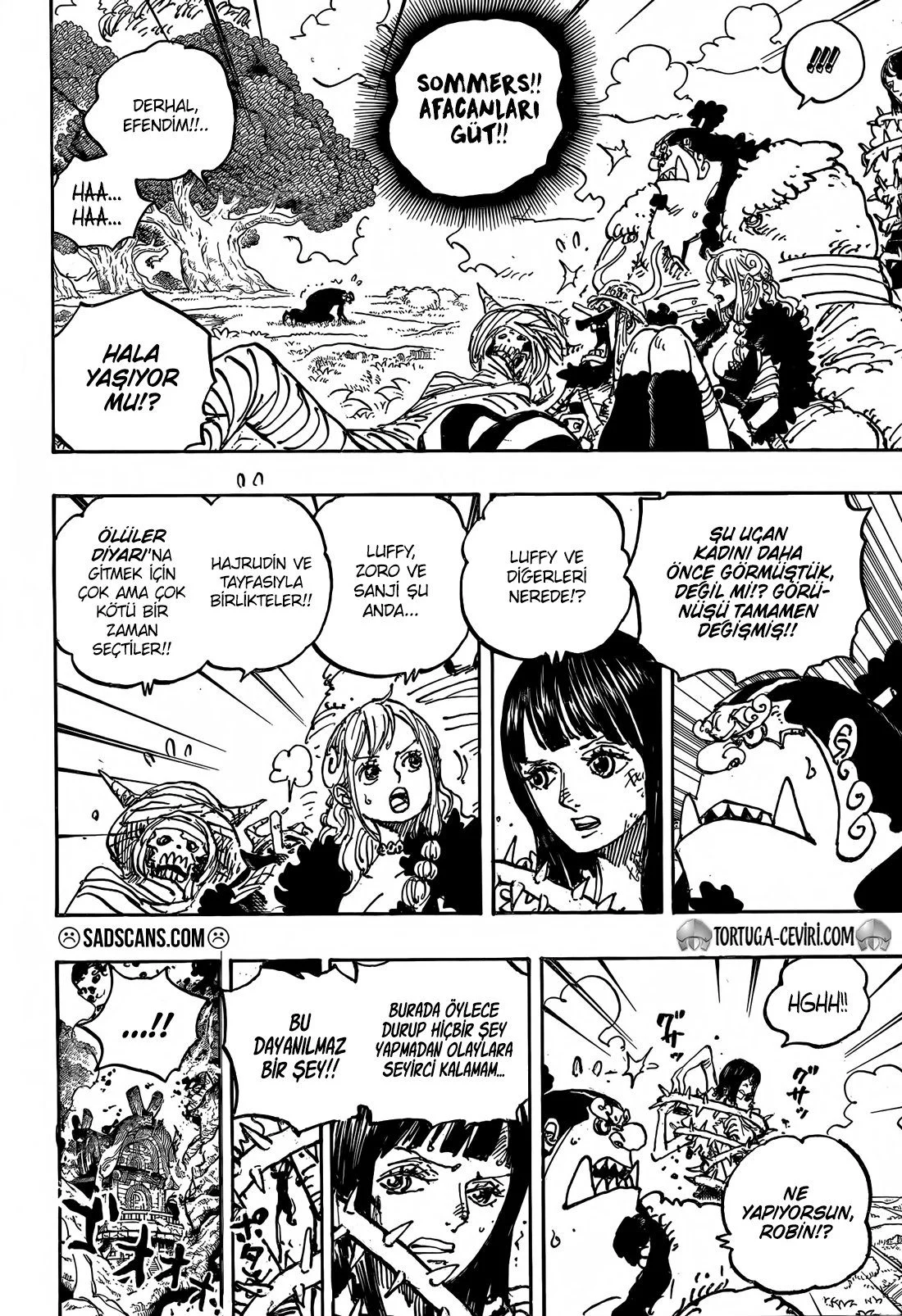 One Piece - Bölüm 1150 - Sayfa 5