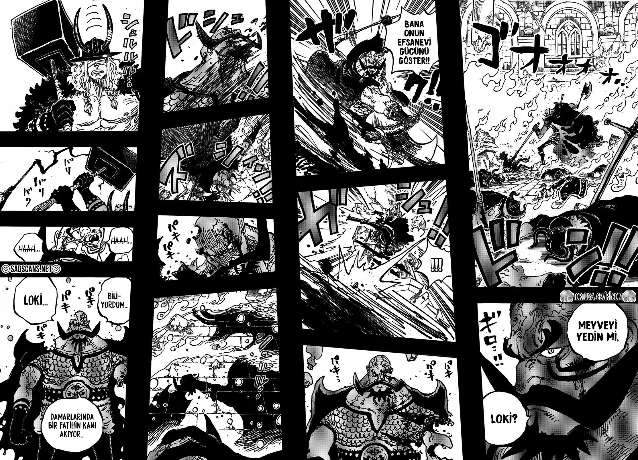 One Piece - Bölüm 1170 - Sayfa 13